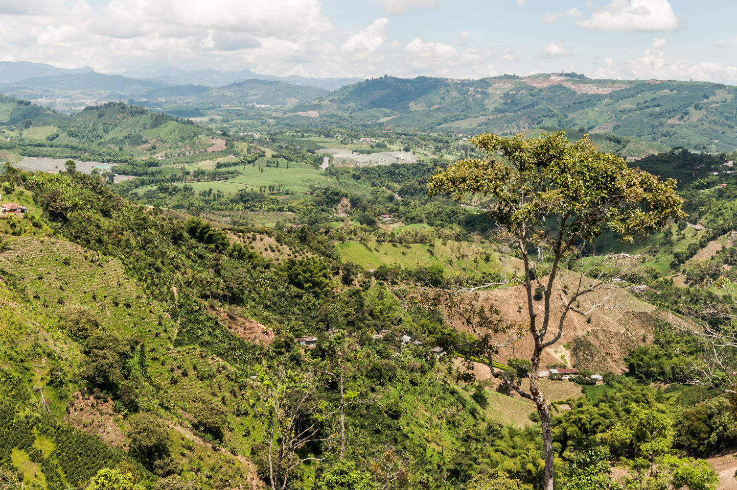Nariño region cafetera de Colombia